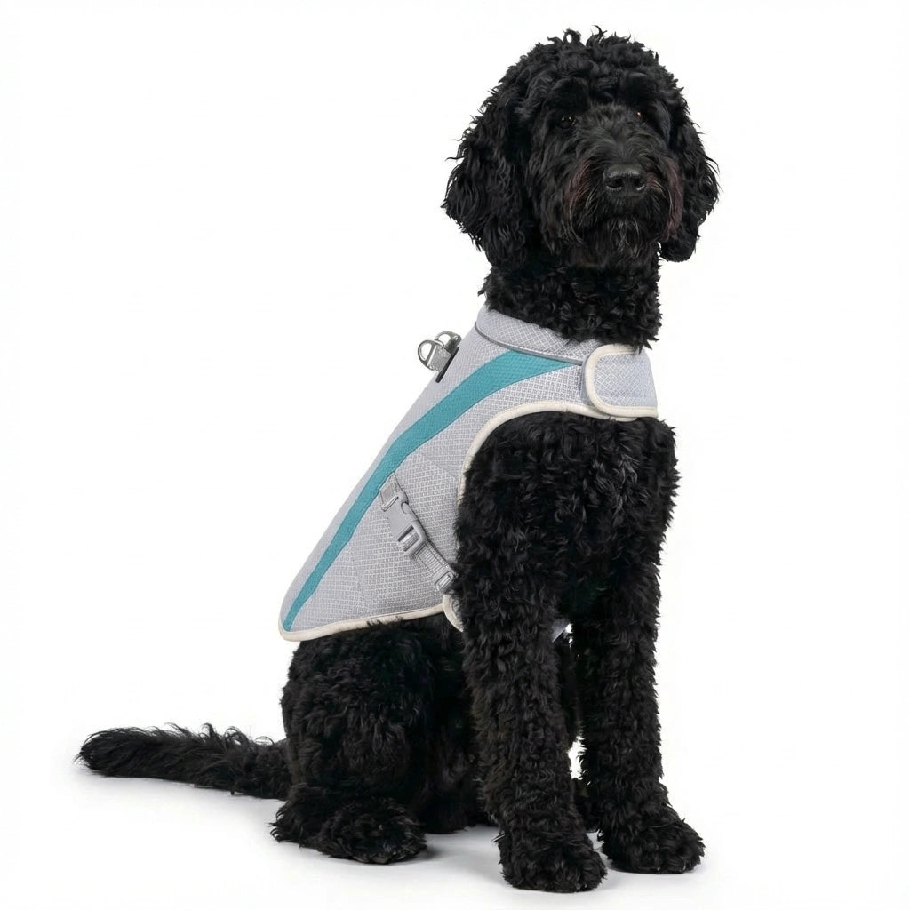 AeroCool™ Dog Cooling Vest