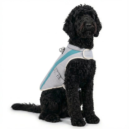 AeroCool™ Dog Cooling Vest