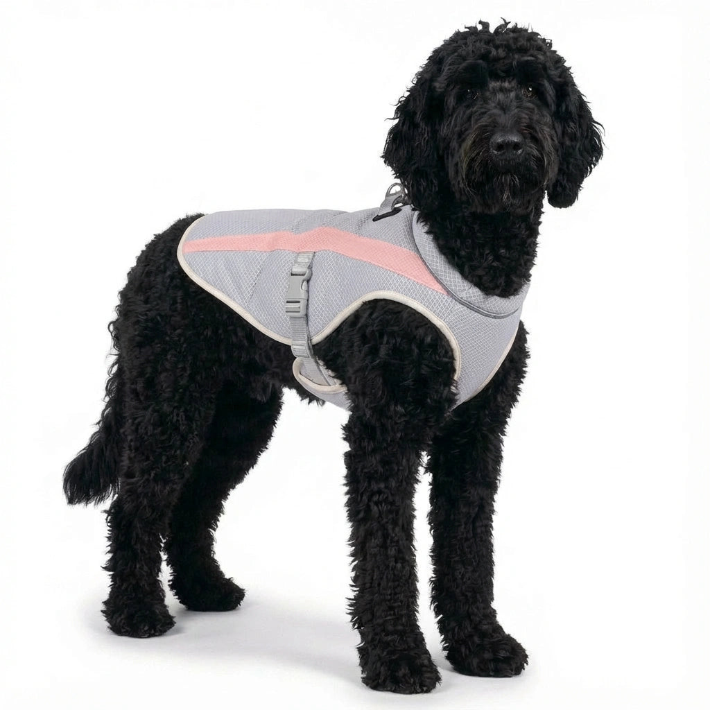AeroCool™ Dog Cooling Vest