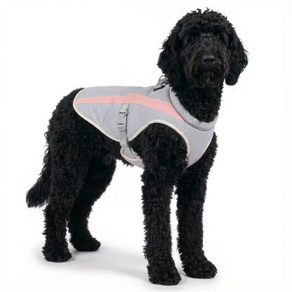 AeroCool™ Dog Cooling Vest