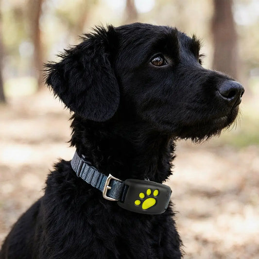 TrackSafe™ GPS Pet Tracker