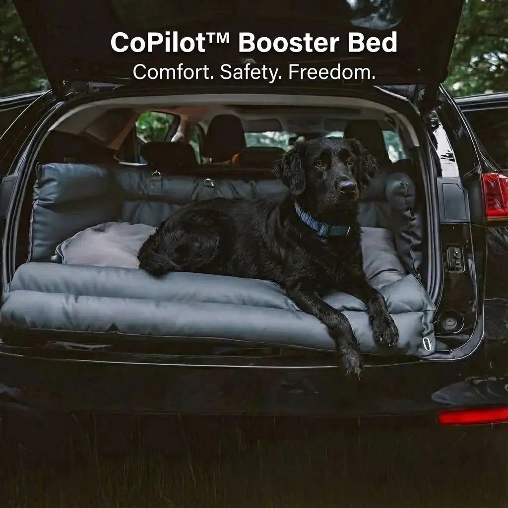 CoPilot™ Booster Bed