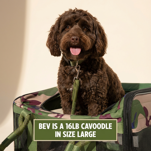 TravelPaw™ Pet Carrier (PRO)