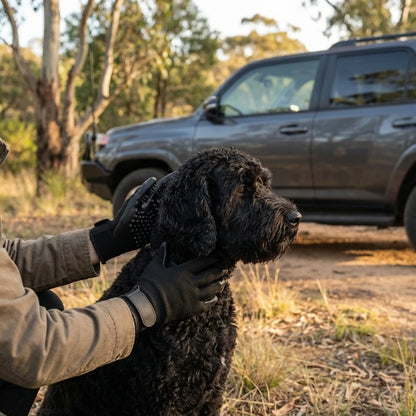 FurEase™ Grooming Gloves