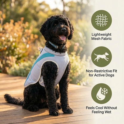 AeroCool™ Dog Cooling Vest